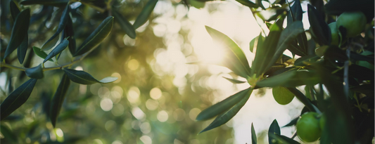 Trying to conceive? Here’s what to know about skincare