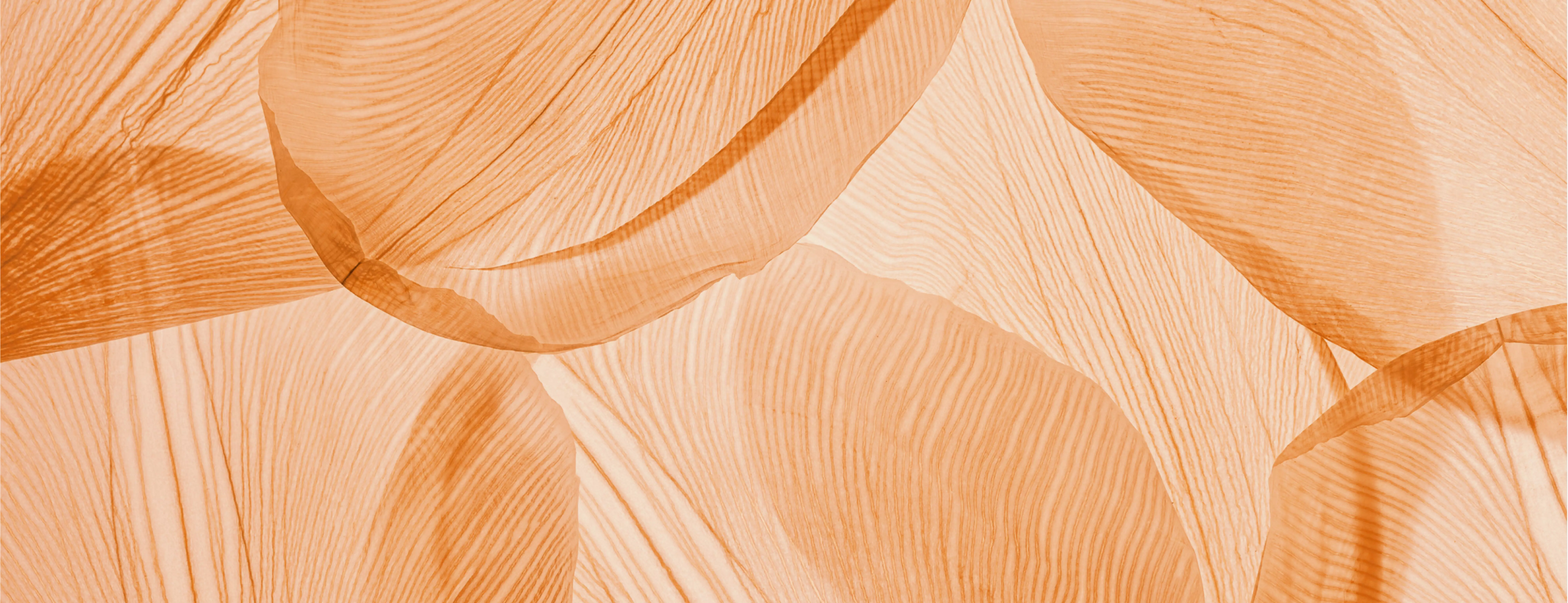 Why we created Two For Cosmetics: fertility-friendly skincare you can trust